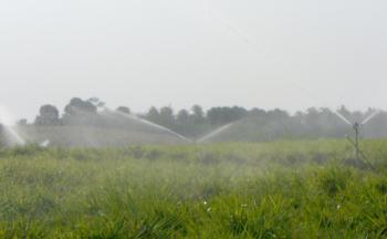 Centro Zootécnico implanta sistema de irrigação